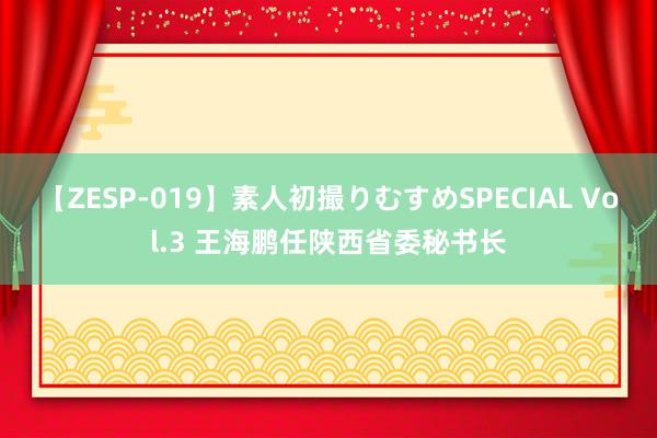 【ZESP-019】素人初撮りむすめSPECIAL Vol.3 王海鹏任陕西省委秘书长