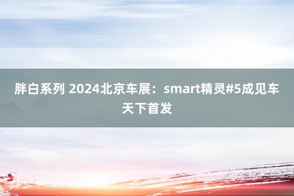 胖白系列 2024北京车展：smart精灵#5成见车天下首发